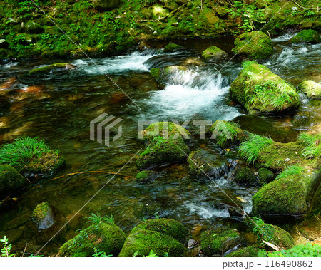 鳥海山元滝伏流水　秋田県 116490862