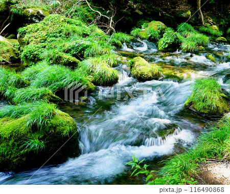 鳥海山元滝伏流水 秋田県 鳥海山元滝伏流水 秋田県 116490868