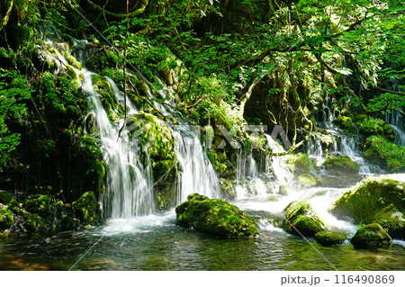 鳥海山元滝伏流水 秋田県 鳥海山元滝伏流水 秋田県 116490869