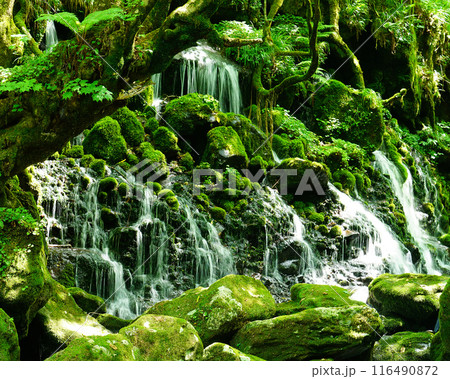 鳥海山元滝伏流水　秋田県 116490872