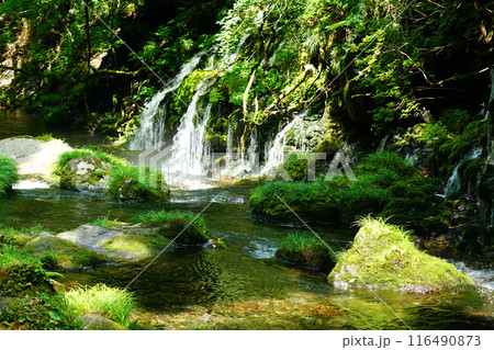 鳥海山元滝伏流水 秋田県 鳥海山元滝伏流水 秋田県 116490873