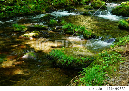 鳥海山元滝伏流水 秋田県 鳥海山元滝伏流水 秋田県 116490882