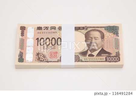 100万円（新紙幣） 116491284