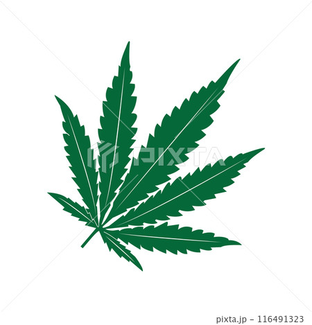 Marijuana leaf icon Marijuana leaf icon 116491323