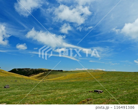 日本一広い高層台地の美ヶ原高原 日本一広い高層台地の美ヶ原高原 116491386
