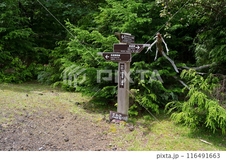 標識 標識 116491663