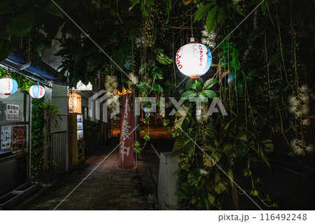 沖縄県栄町繁華街の風景 沖縄県栄町繁華街の風景 116492248