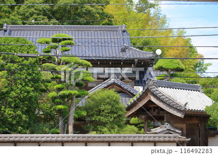瓦屋根 イメージ 瓦屋根 イメージ 116492283