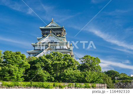 大阪城天守閣 大阪城天守閣 116492310