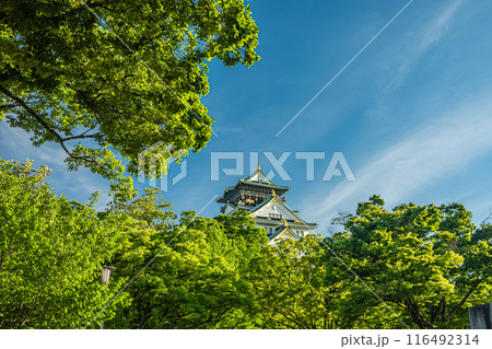 大阪城風景 116492314