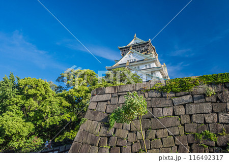 大阪城風景 116492317