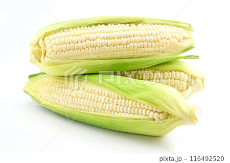 とうもろこし(ホイップコーン) とうもろこし(ホイップコーン) 116492520
