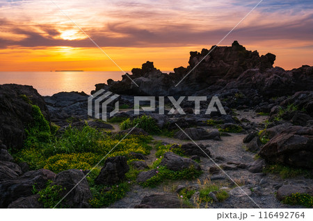 十六羅漢岩・夕景 十六羅漢岩・夕景 116492764