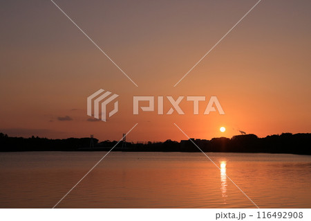 ときわ公園に沈む夕陽 ときわ公園に沈む夕陽 116492908
