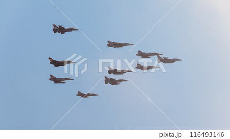 NATO空軍タイガーミートの大編隊飛行 116493146