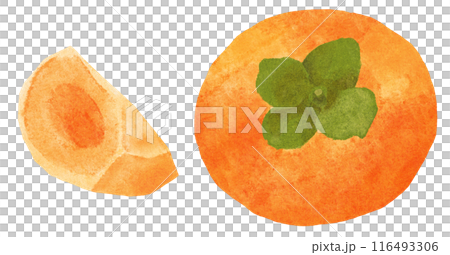 美味的柿子2水彩觸感 美味的柿子2水彩觸感 116493306