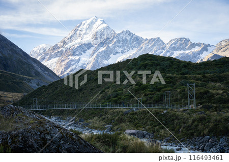 Swing bridge leading through alpine valley with huge snowy mountain behind it, Mt Cook, New Zealand Swing bridge leading through alpine valley with huge snowy mountain behind it, Mt Cook, New Zealand 116493461