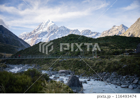 Tourists crossing swing bridge above glacial river in alpine environment, Mt Cook, New Zealand Tourists crossing swing bridge above glacial river in alpine environment, Mt Cook, New Zealand 116493474