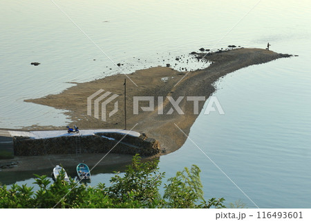 夕方の大芝島で釣りを楽しむ釣人 116493601
