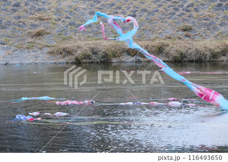 鴨川に投げられる京友禅の布 116493650