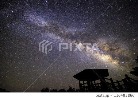 《高知県》叶崎展望台と天の川と星空 116493866
