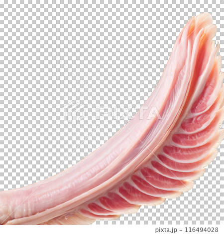 Raw turkey wings pale pink hue skin on photographed with a macro lens 116494028