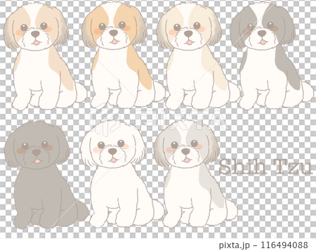 坐西施犬不同顏色套裝 116494088