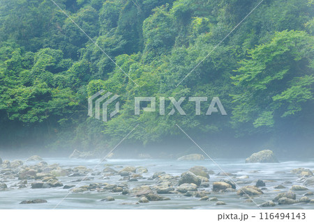 夏の綾川 116494143