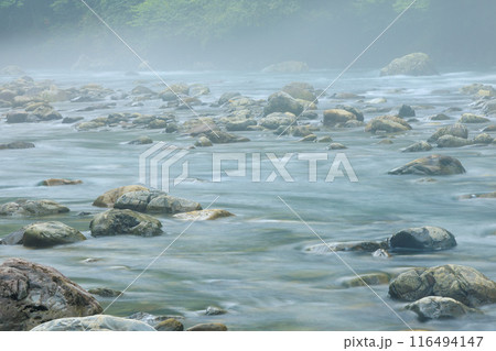 夏の綾川 116494147