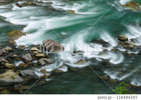 夏の綾川 116494265