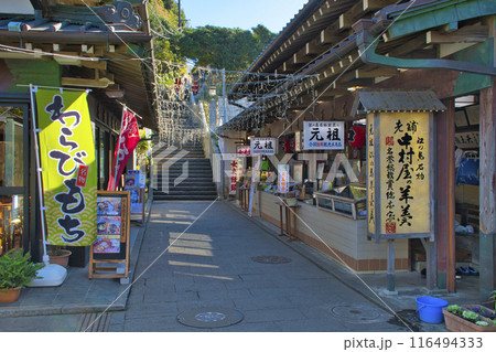【藤沢市】江の島　御岩屋道通り 116494333