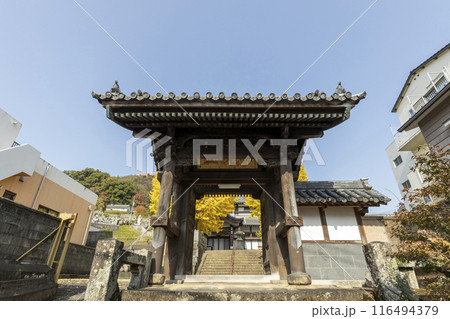 瑞光山永昌寺のイチョウの木 瑞光山永昌寺のイチョウの木 116494379