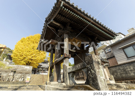 瑞光山永昌寺のイチョウの木 116494382