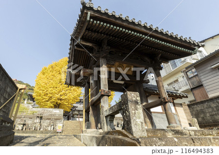 瑞光山永昌寺のイチョウの木 瑞光山永昌寺のイチョウの木 116494383