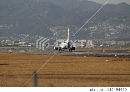 大阪空港　伊丹空港　千里川土手より　着陸する飛行機 116494420