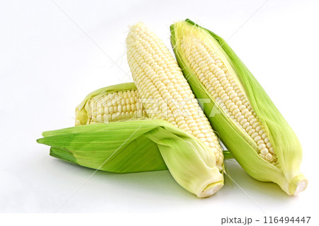 とうもろこし（ホイップコーン） 116494447