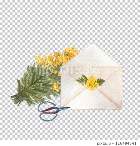 Blue tansy yellow flowers, a scissors, an envelope watercolor composition isolated on white. Hand painted high quality art great for stickers, decor and design, packages, herbal production, notebooks 116494541