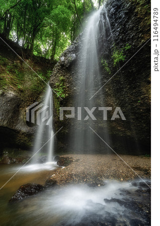 茨城県大子町　新緑と月待の滝 116494789