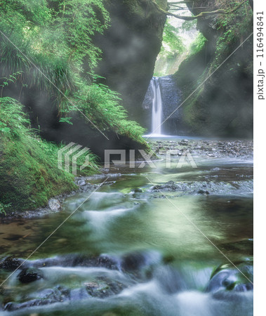 福島県矢祭町　新緑と吉野平の不動滝 116494841