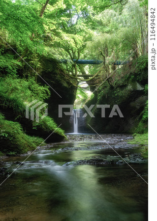 福島県矢祭町 新緑と吉野平の不動滝 福島県矢祭町 新緑と吉野平の不動滝 116494842