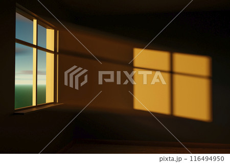 Light from the window 116494950