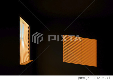 Light from the window 116494951