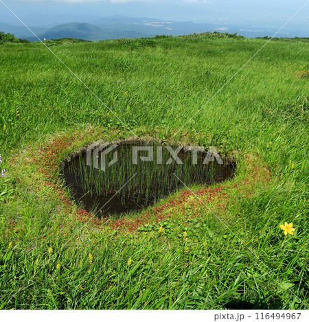 月山弥陀ヶ原　山形県 116494967