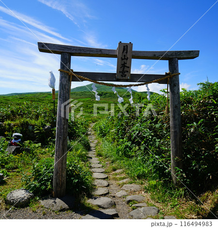 月山弥陀ヶ原　山形県 116494983