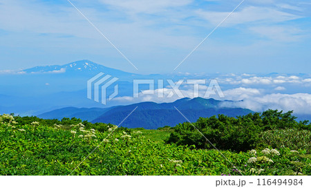 月山弥陀ヶ原　山形県 116494984