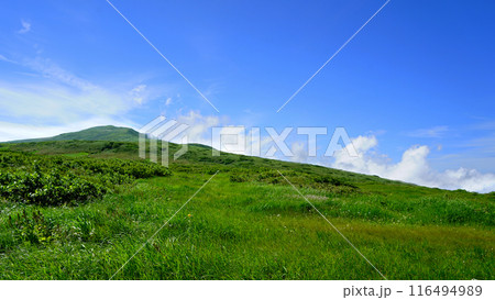 月山弥陀ヶ原 山形県 月山弥陀ヶ原 山形県 116494989