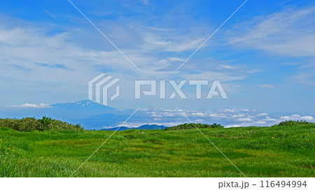 月山弥陀ヶ原 山形県 月山弥陀ヶ原 山形県 116494994