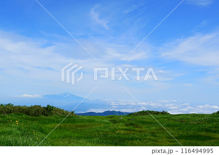 月山弥陀ヶ原　山形県 116494995