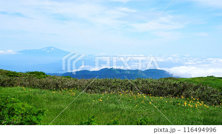 月山弥陀ヶ原 山形県 月山弥陀ヶ原 山形県 116494996
