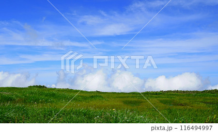 月山弥陀ヶ原　山形県 116494997